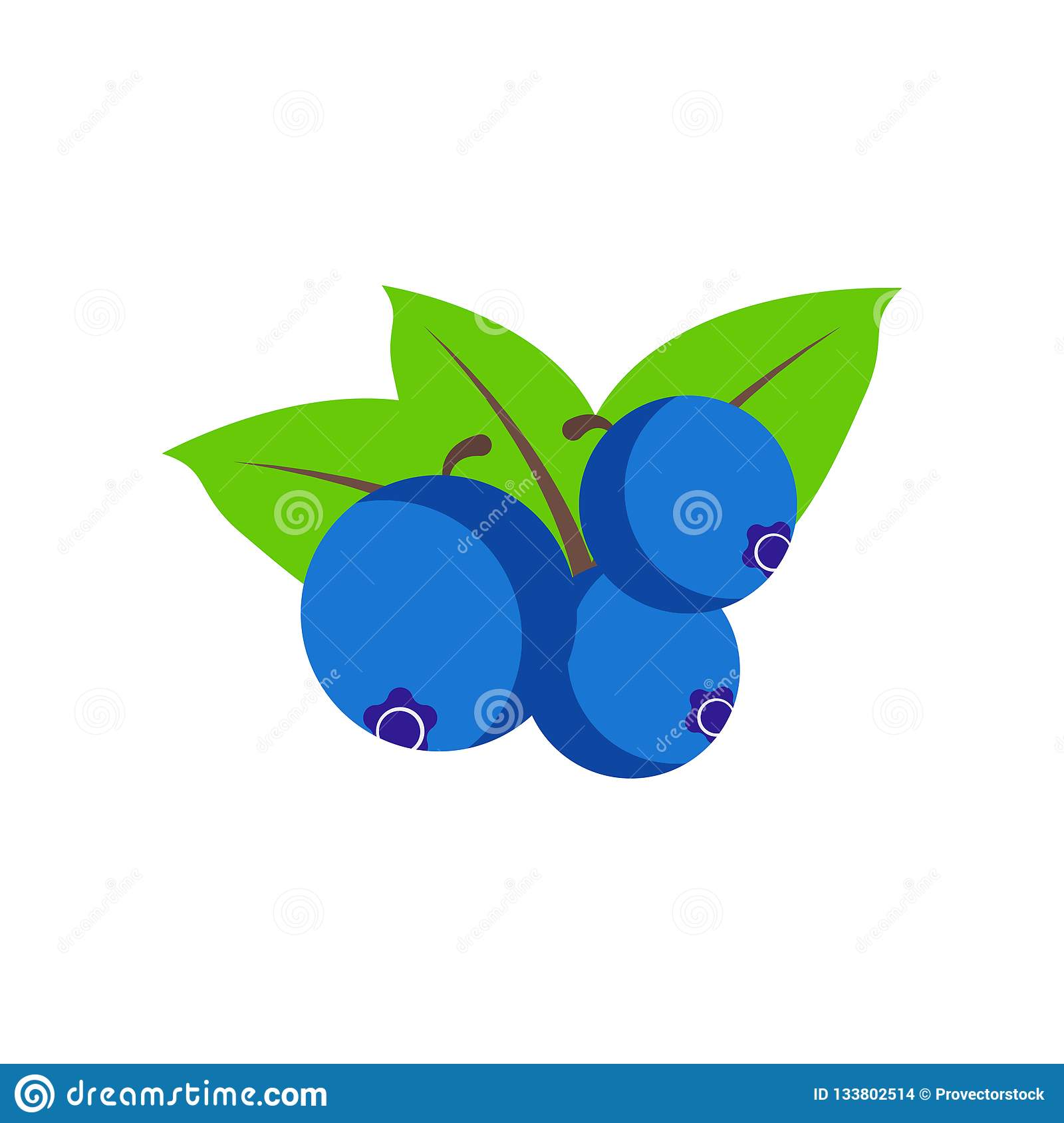 Detail Blueberry Vector Png Nomer 14