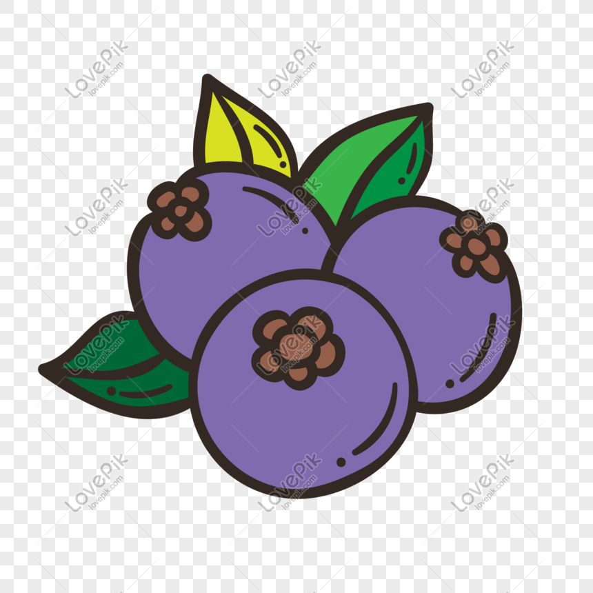 Detail Blueberry Vector Png Nomer 19