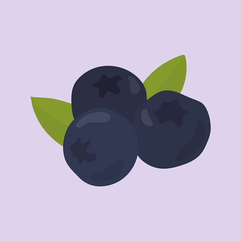 Detail Blueberry Vector Png Nomer 22