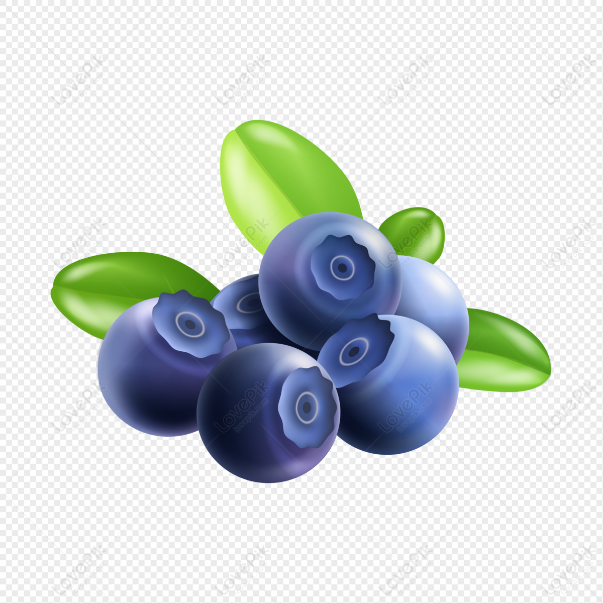 Detail Blueberry Vector Png Nomer 33