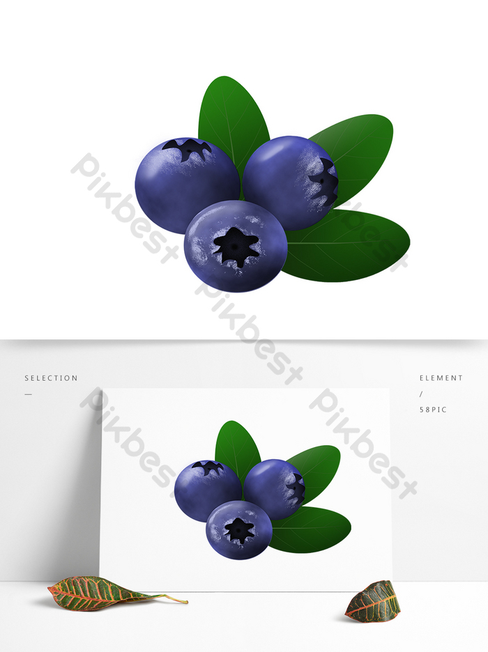 Detail Blueberry Vector Png Nomer 45