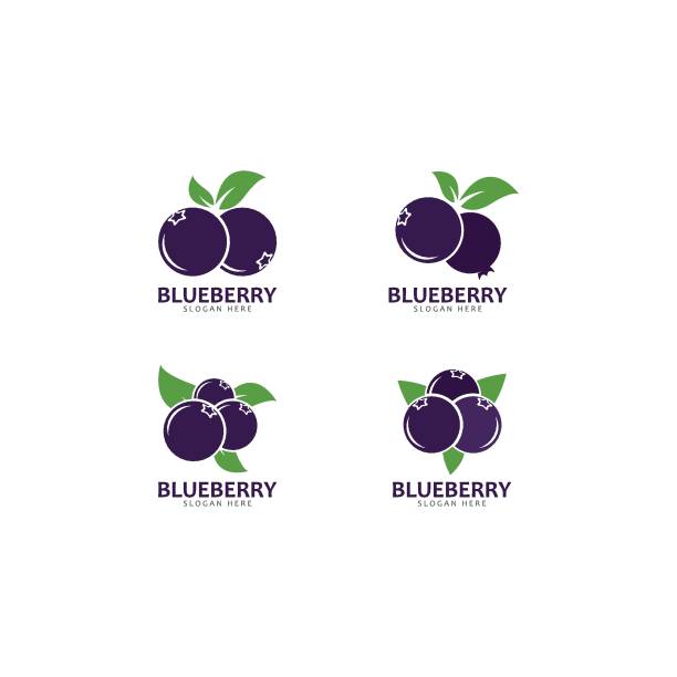 Detail Blueberry Vector Png Nomer 54