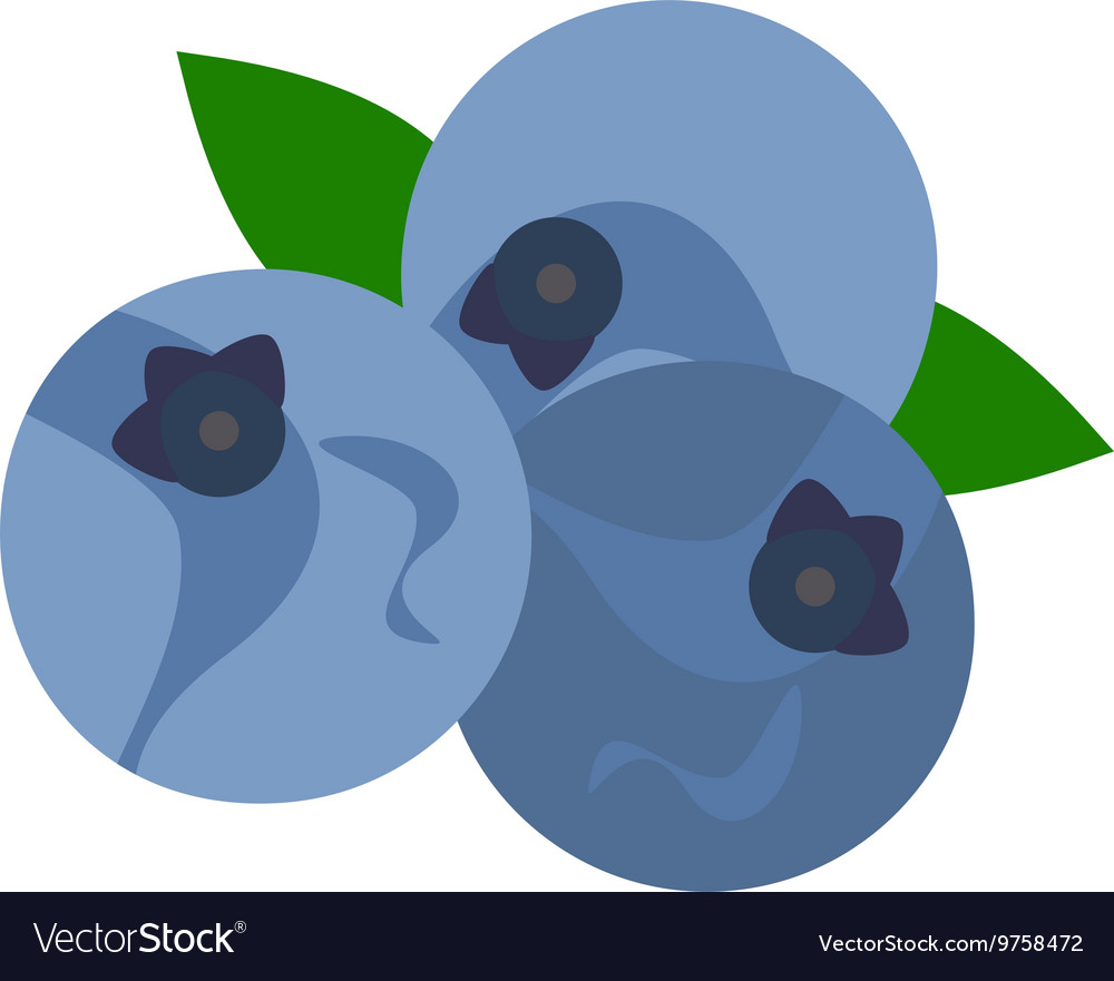 Detail Blueberry Vector Png Nomer 56