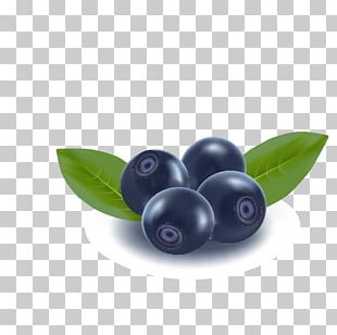 Detail Blueberry Vector Png Nomer 10