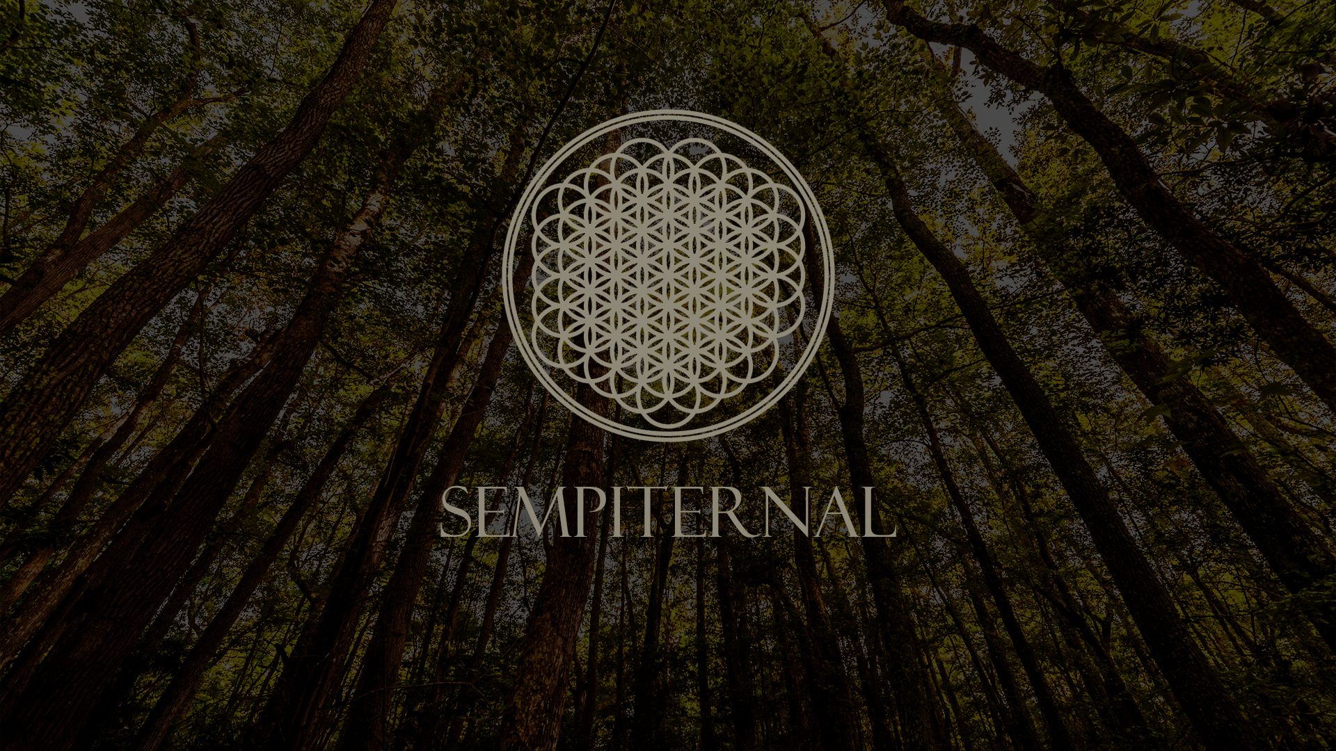 Detail Bmth Logo Wallpaper Nomer 25