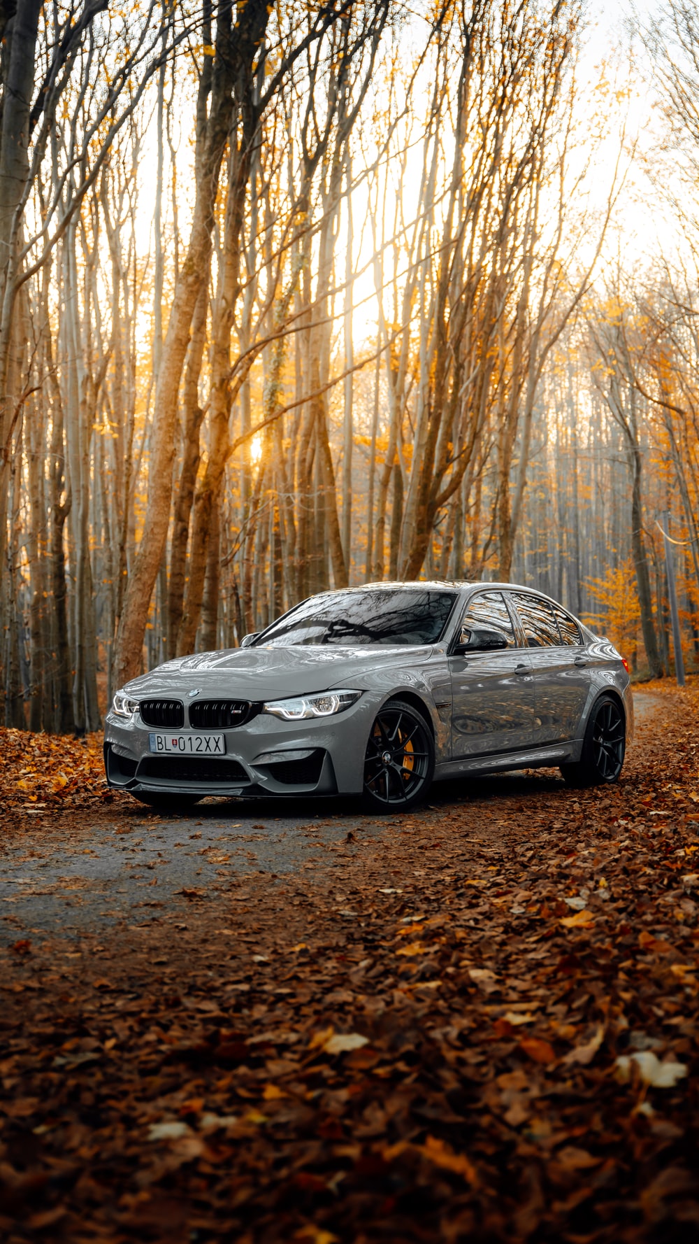 Detail Bmw Hd Wallpaper Nomer 2