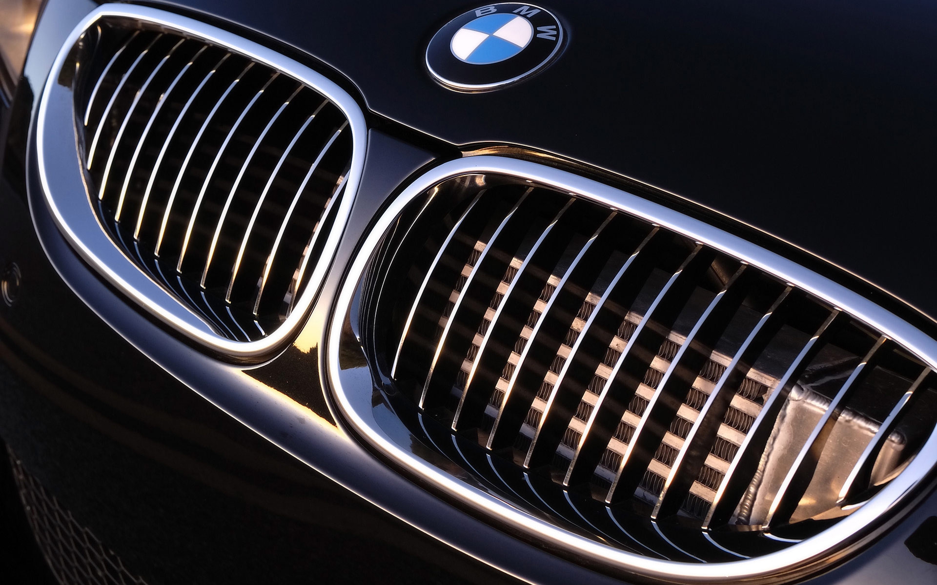 Detail Bmw Logo Hd Nomer 54