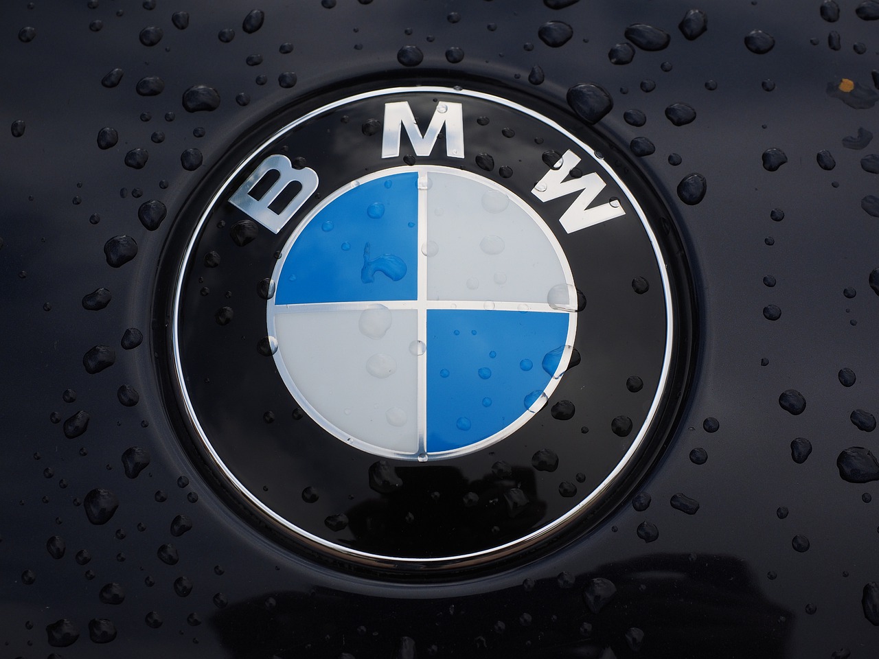 Detail Bmw Logo Pictures Nomer 27