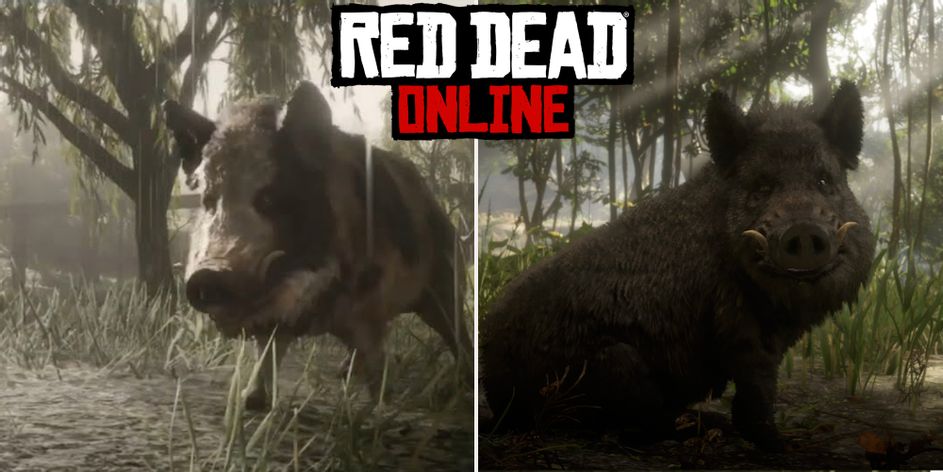 Detail Boar Location Red Dead Redemption 2 Nomer 17