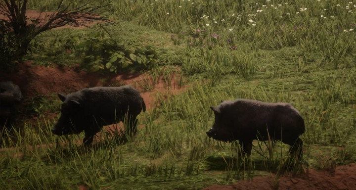 Detail Boar Location Red Dead Redemption 2 Nomer 41