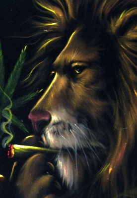 Detail Bob Marley And Lion Picture Nomer 48