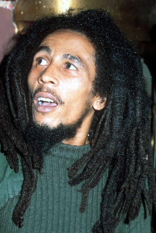 Detail Bob Marley Bugs In Hair Nomer 17