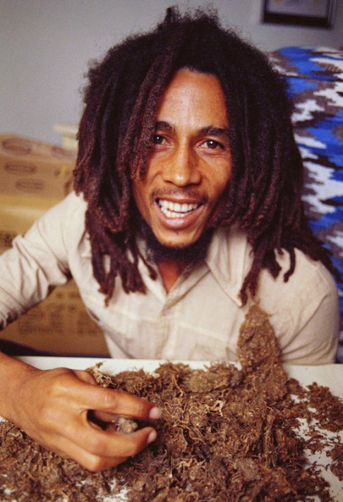 Detail Bob Marley Bugs In Hair Nomer 6