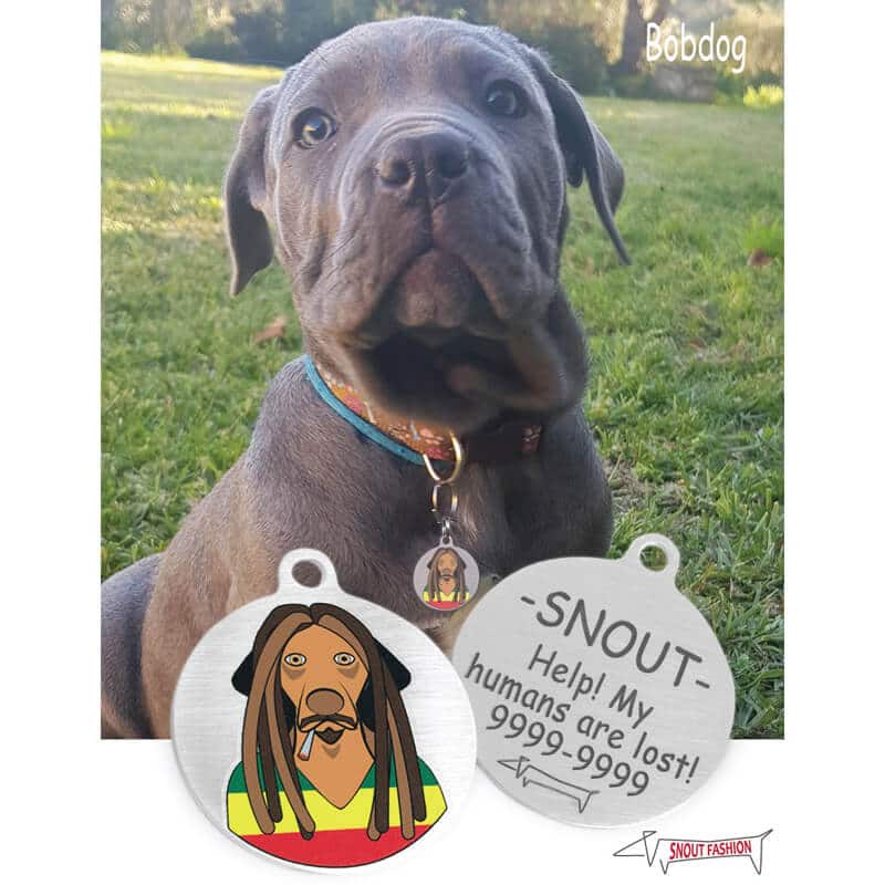 Detail Bob Marley Dog Collars Nomer 29