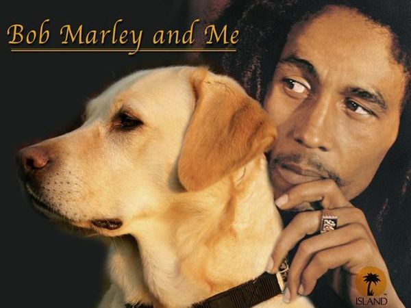 Detail Bob Marley Dog Collars Nomer 47