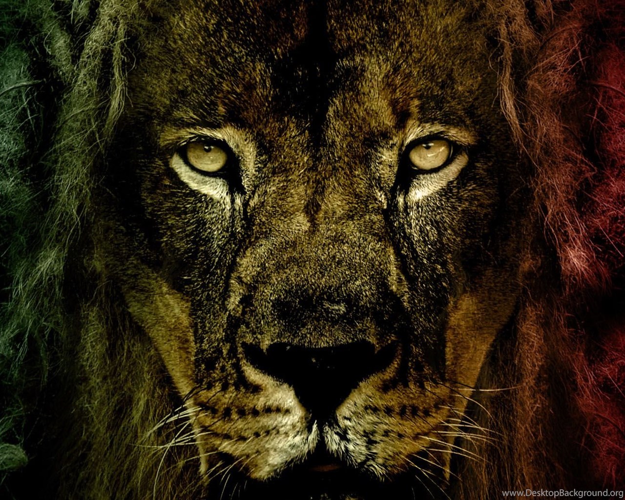 Download Bob Marley Lion Wallpaper Nomer 49