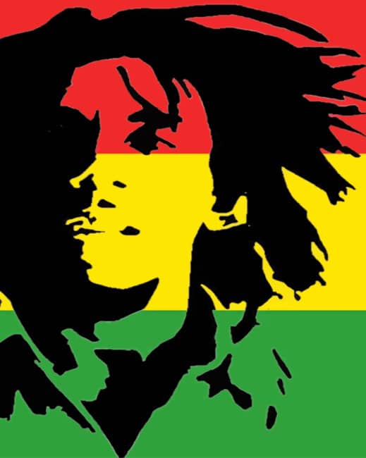 Detail Bob Marley Paint By Numbers Nomer 20