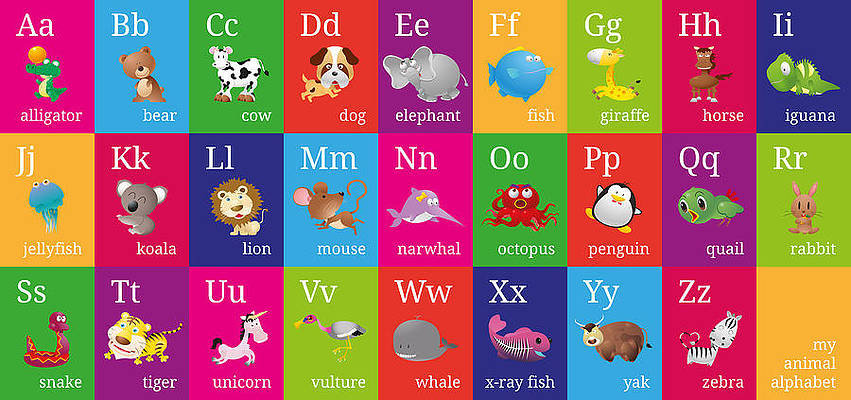 Detail Bob The Train Alphabet Animals Nomer 31