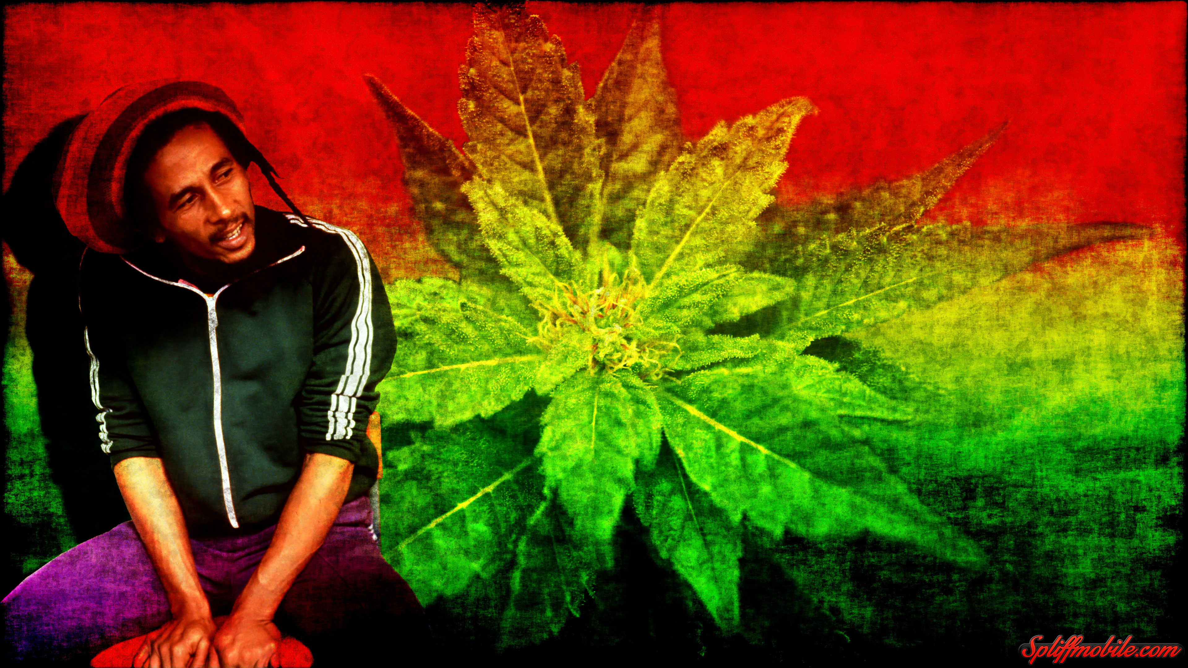 Detail Bobmarley Background Nomer 48