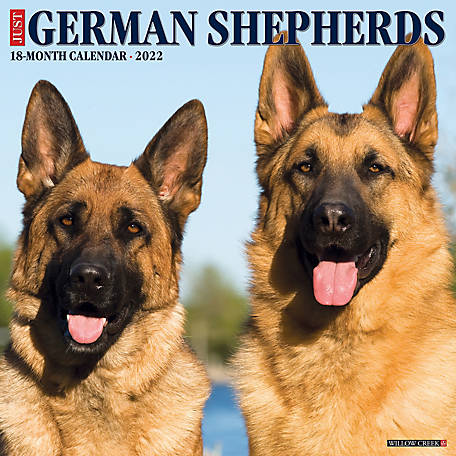 Detail Bobs German Shepherd Shoes Nomer 45