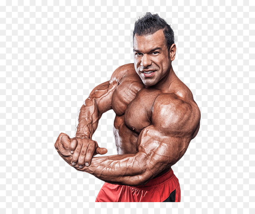 Detail Body Builder Png Nomer 14