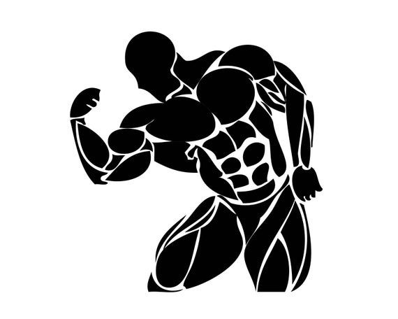 Detail Body Builder Png Nomer 23