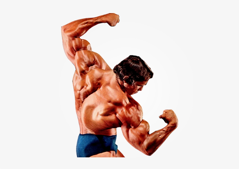 Detail Body Builder Png Nomer 4