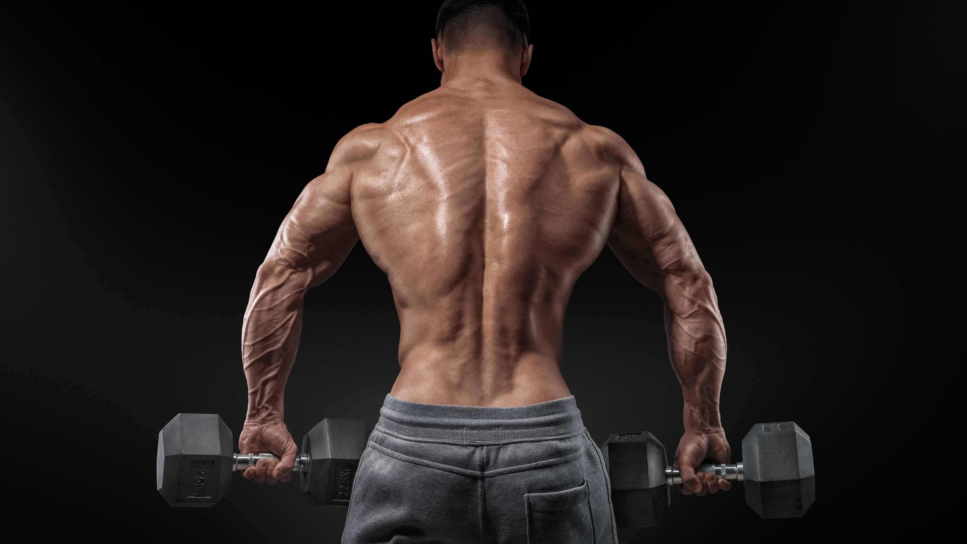 Detail Body Building Wallpaper Nomer 15