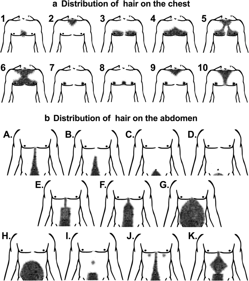 Detail Body Hair Png Nomer 41