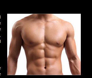 Detail Body Six Pack Png Nomer 40