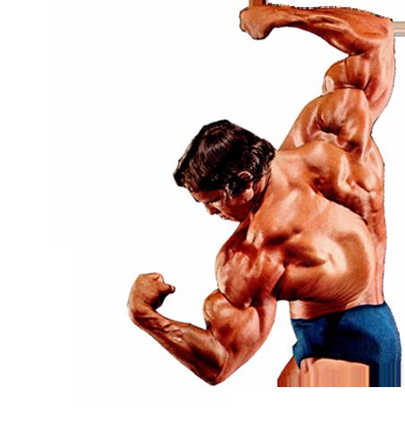 Detail Bodybuilder Background Nomer 34