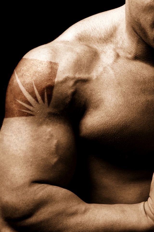Detail Bodybuilder Background Nomer 46