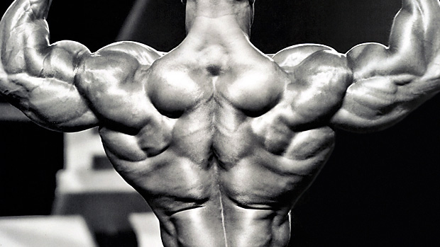 Detail Bodybuilder Pic Nomer 16