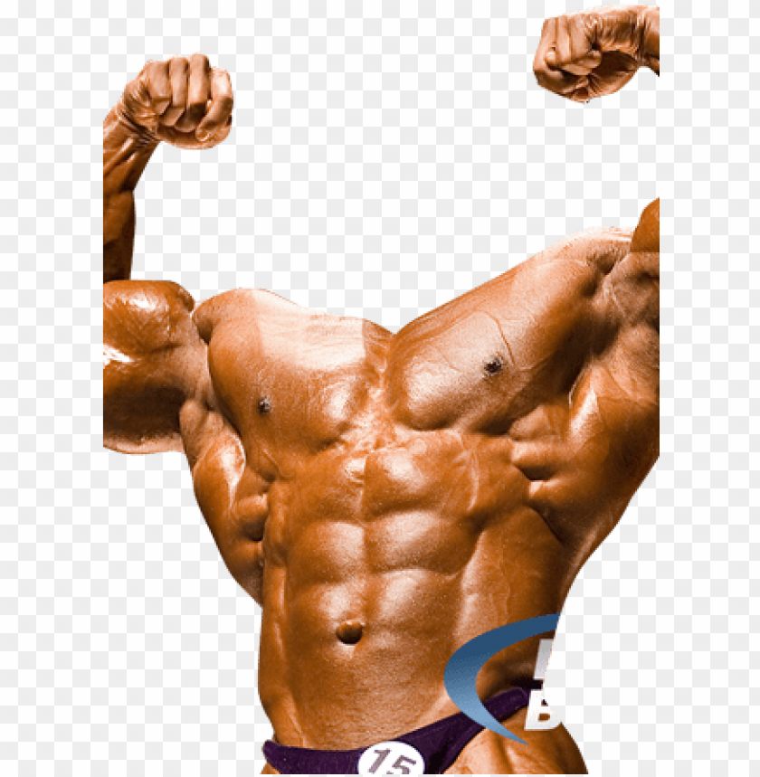 Detail Bodybuilder Png Nomer 47