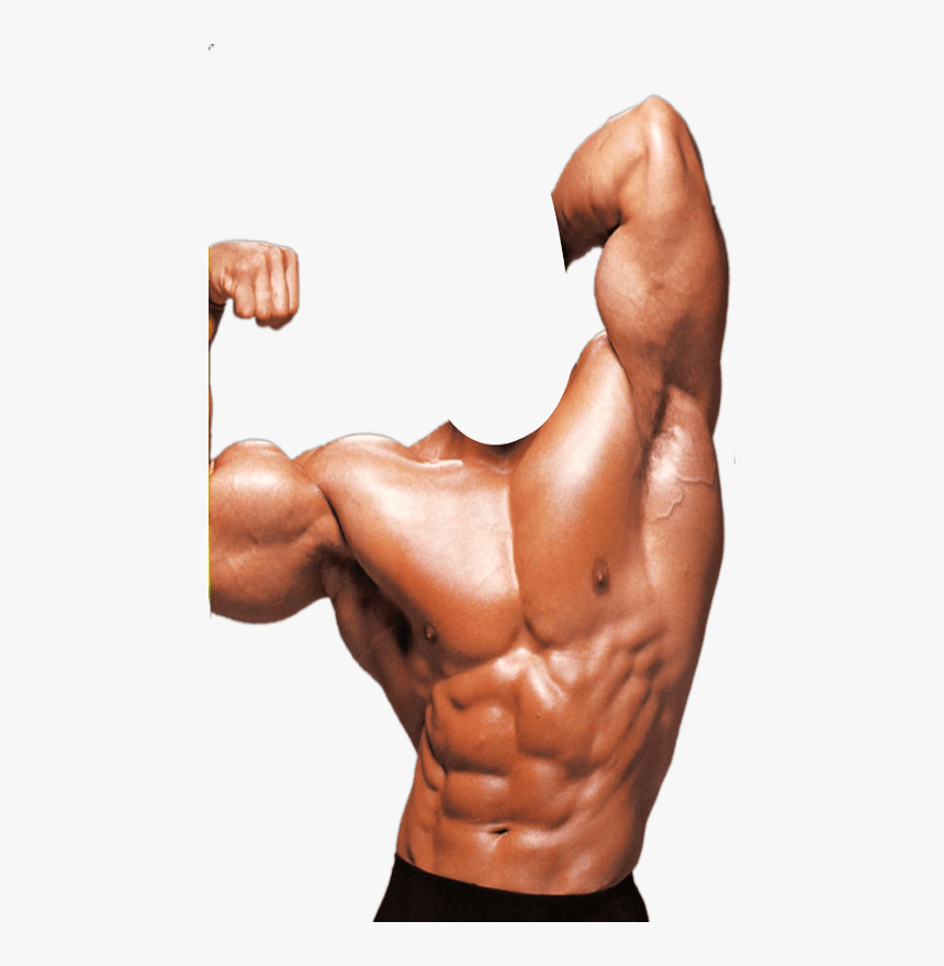 Detail Bodybuilder Transparent Nomer 11
