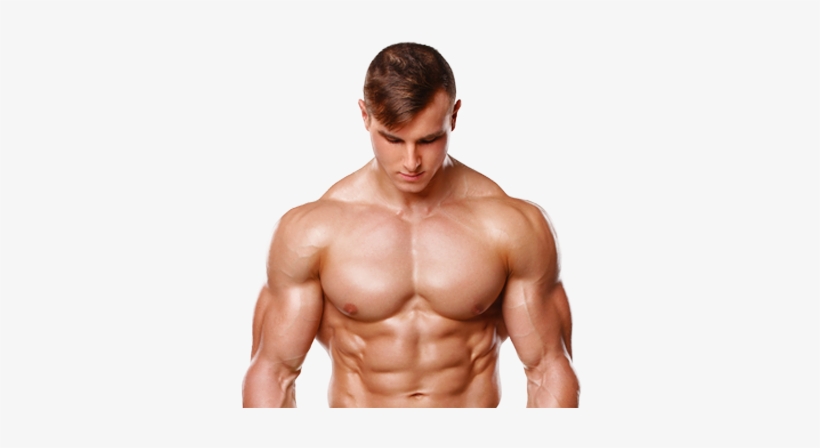 Detail Bodybuilder Transparent Nomer 12