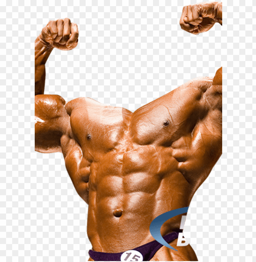 Detail Bodybuilder Transparent Nomer 14