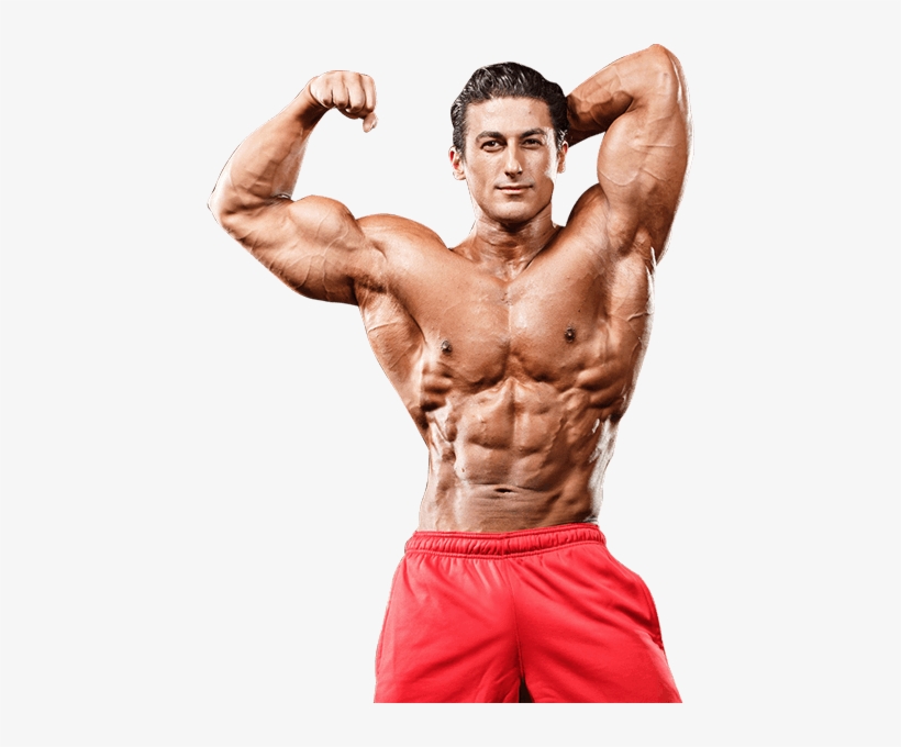 Detail Bodybuilder Transparent Nomer 17