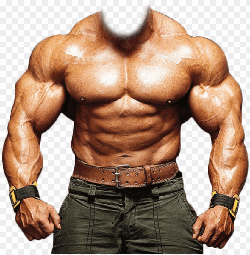 Detail Bodybuilder Transparent Nomer 3