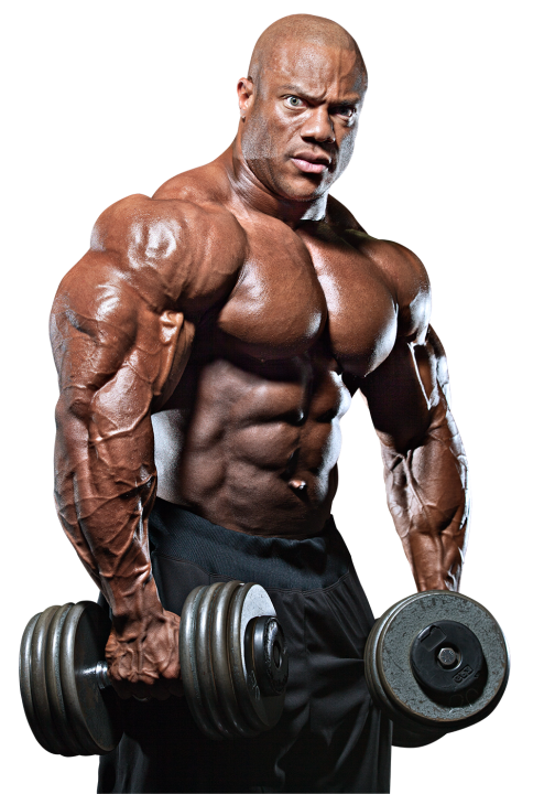Detail Bodybuilder Transparent Nomer 22