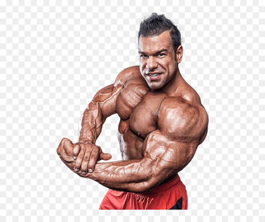 Detail Bodybuilder Transparent Nomer 23