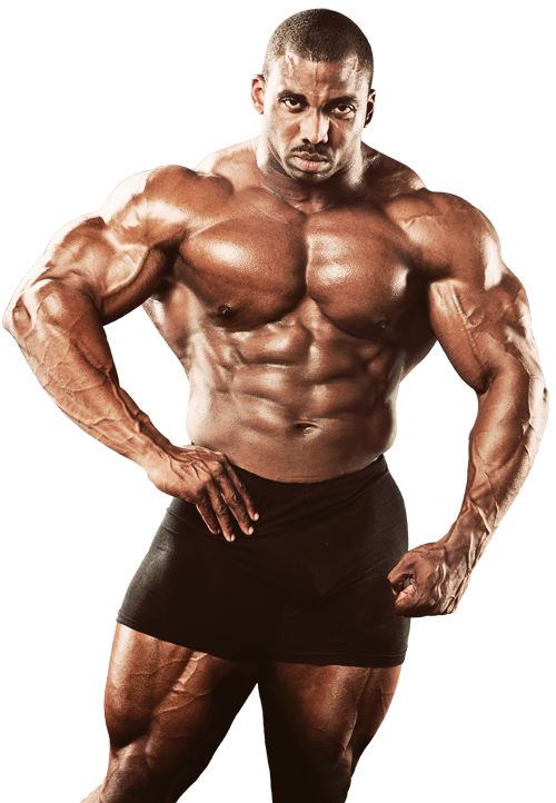 Detail Bodybuilder Transparent Nomer 25