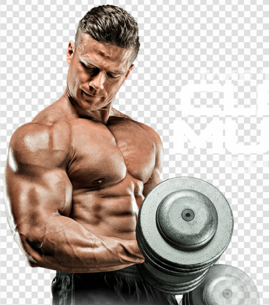 Detail Bodybuilder Transparent Nomer 32