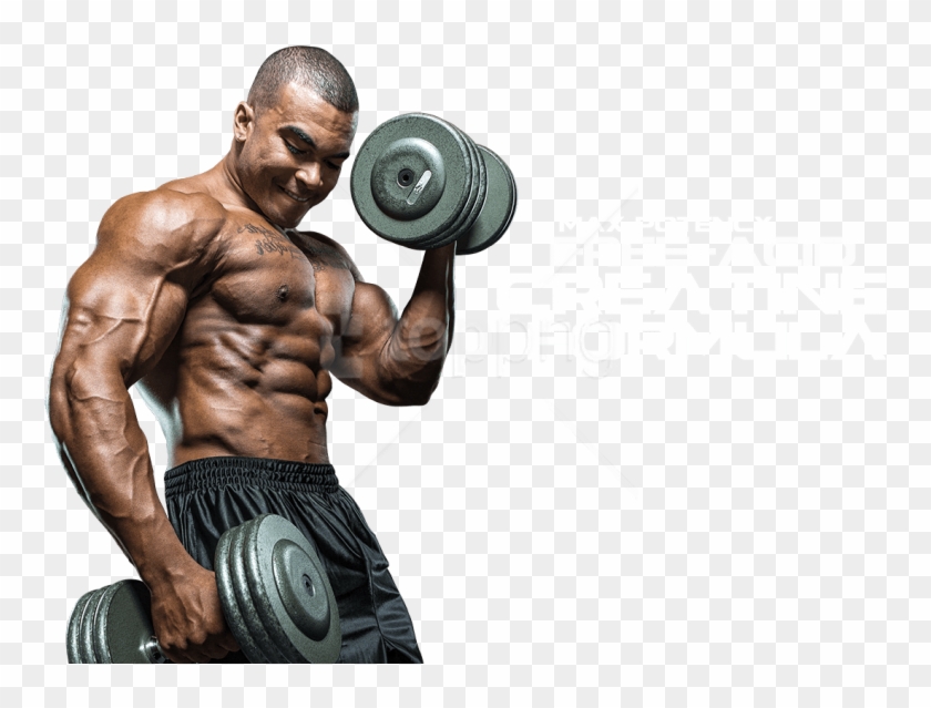 Detail Bodybuilder Transparent Nomer 33
