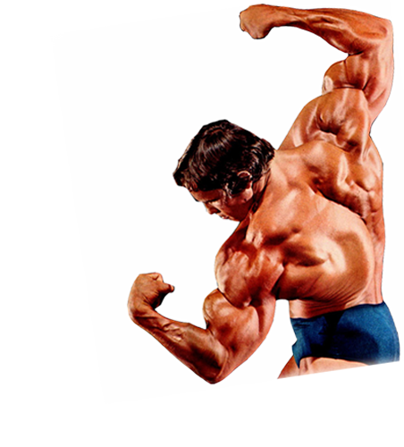 Detail Bodybuilder Transparent Nomer 42