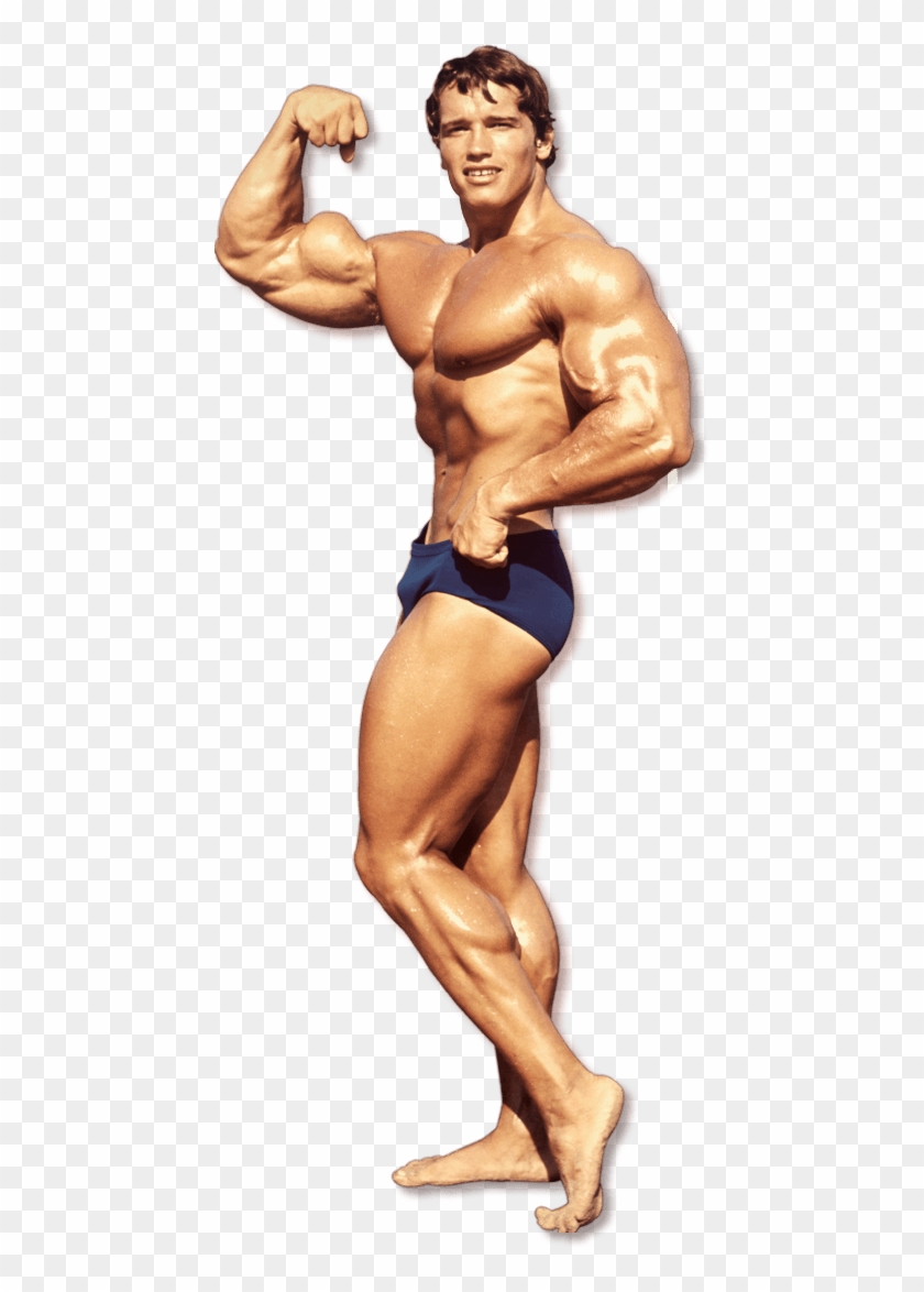 Detail Bodybuilder Transparent Nomer 46