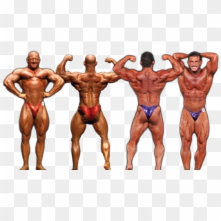 Detail Bodybuilder Transparent Nomer 56