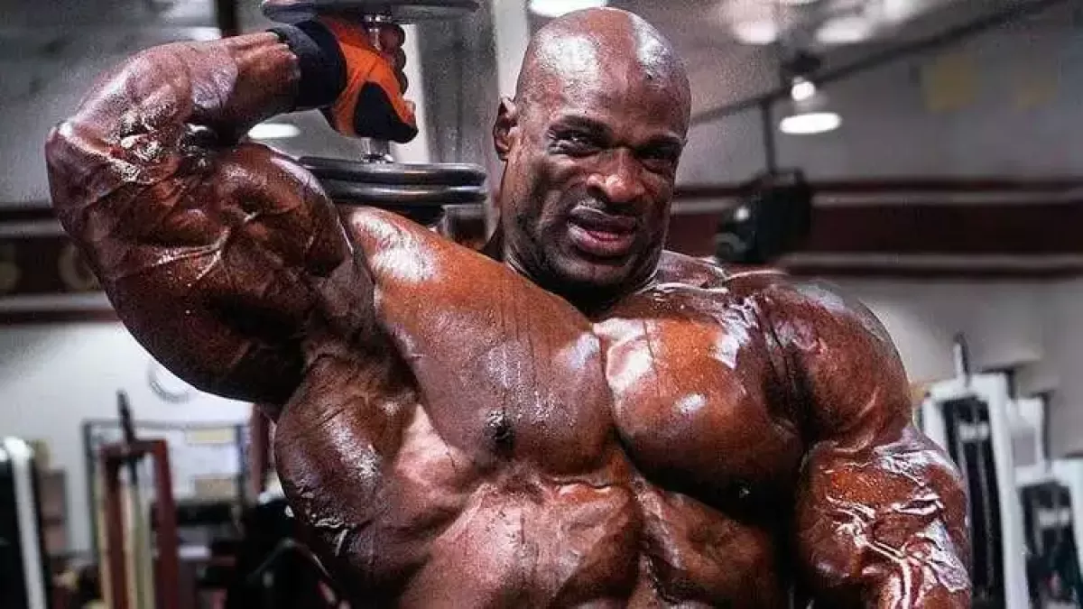 Detail Bodybuilders Image Nomer 6