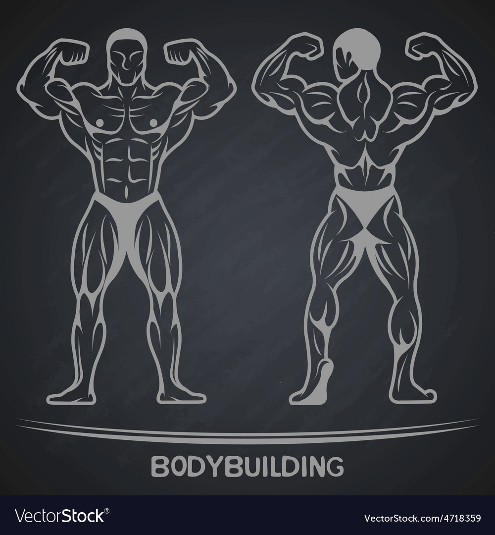 Detail Bodybuilding Background Nomer 4