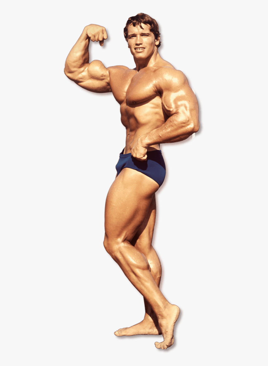 Detail Bodybuilding Free Nomer 7